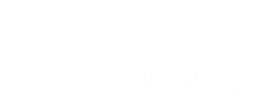 theme-sticky-logo-alt