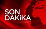 Çanakkale’de korkunç olay: Ormanda yanmış ha...