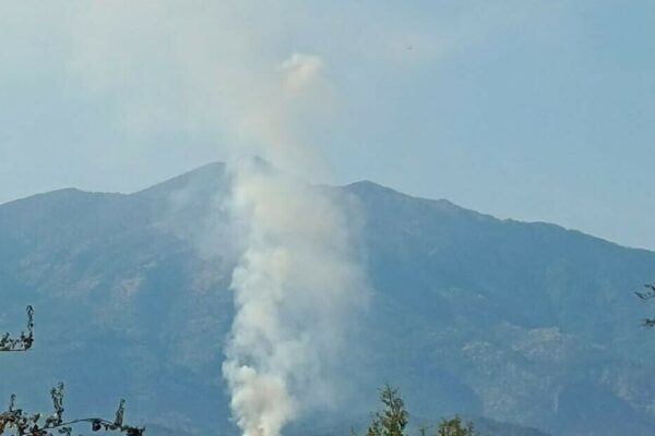 Muğla’da orman yangını