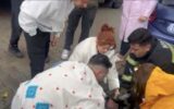 Yangında 2 köpekten biri öldü, diğeri kalp masajıy... Yangında 2 köpekten biri öldü, diğeri kalp masajıy...