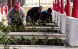 Manisa Büyükşehir Belediyesi şehitlikleri 18 Mart’...