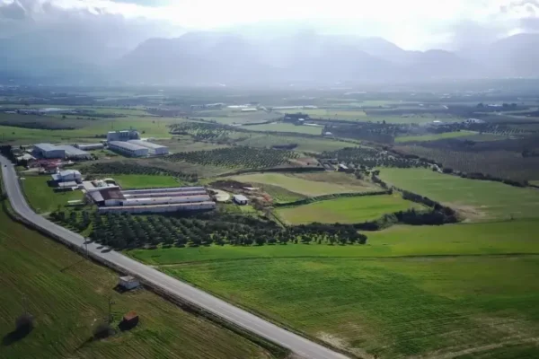 Halilbeyli plan revizyonuna oyçokluğu: AK Parti’de...