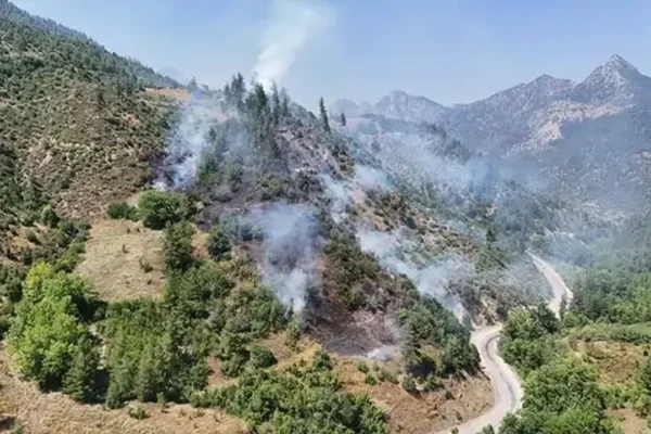 Adana’da orman yangını! Adana’da orman yangını!