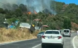 Yalova’da orman yangını!
