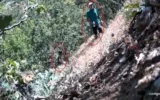 CHP ilçe başkanı ve oğlu fotokapana yakalandı: Ken...