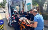 Aydın’da kamyonetin çarptığı yaya yaralandı