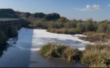 DEM Partili Akın’dan Bakan Kurum’a Körfez soruları... DEM Partili Akın’dan Bakan Kurum’a Körfez soruları...