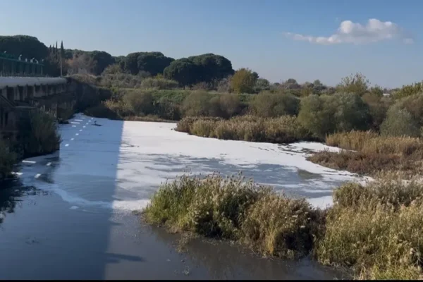 DEM Partili Akın’dan Bakan Kurum’a Körfez soruları...